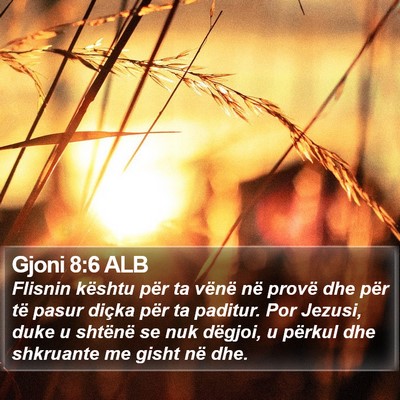 Gjoni 8:6 ALB Bible Verse Image