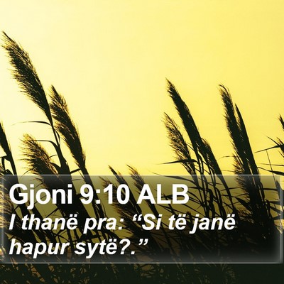 Gjoni 9:10 ALB Bible Verse Image