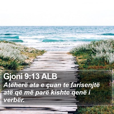 Gjoni 9:13 ALB Bible Verse Image