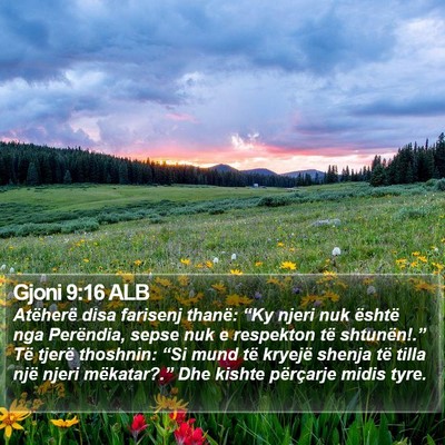 Gjoni 9:16 ALB Bible Verse Image
