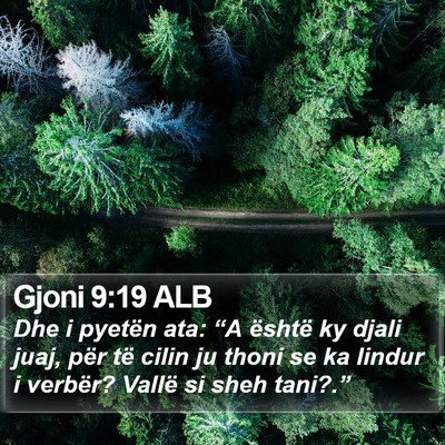 Gjoni 9:19 ALB Bible Verse Image