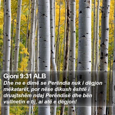 Gjoni 9:31 ALB Bible Verse Image