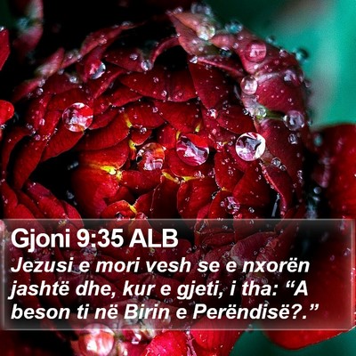 Gjoni 9:35 ALB Bible Verse Image