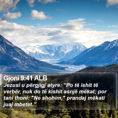 Gjoni 9:41 ALB Bible Verse Image