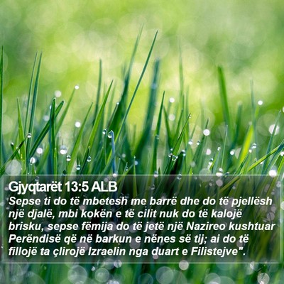 Gjyqtarët 13:5 ALB Bible Verse Image