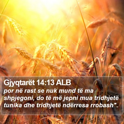 Gjyqtarët 14:13 ALB Bible Verse Image