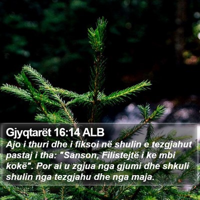 Gjyqtarët 16:14 ALB Bible Verse Image