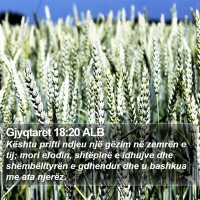 Gjyqtarët 18:20 ALB Bible Verse Image