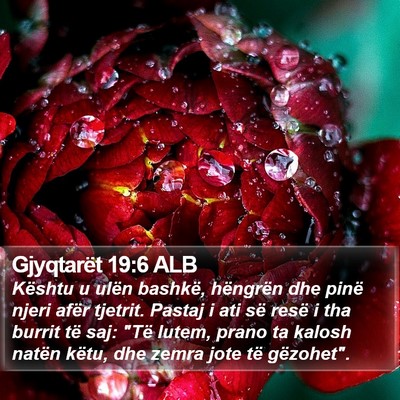 Gjyqtarët 19:6 ALB Bible Verse Image