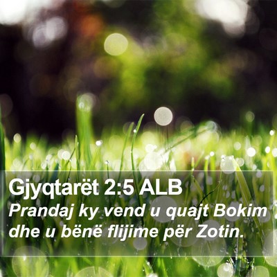 Gjyqtarët 2:5 ALB Bible Verse Image