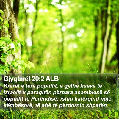 Gjyqtarët 20:2 ALB Bible Verse Image