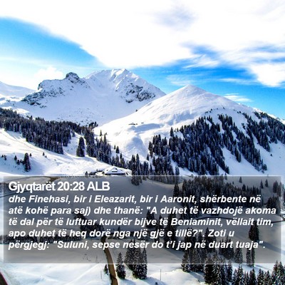 Gjyqtarët 20:28 ALB Bible Verse Image