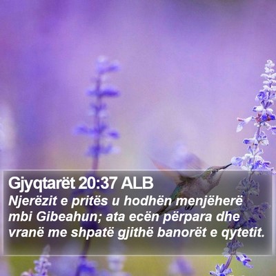 Gjyqtarët 20:37 ALB Bible Verse Image
