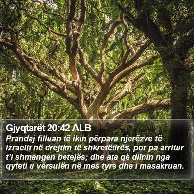 Gjyqtarët 20:42 ALB Bible Verse Image