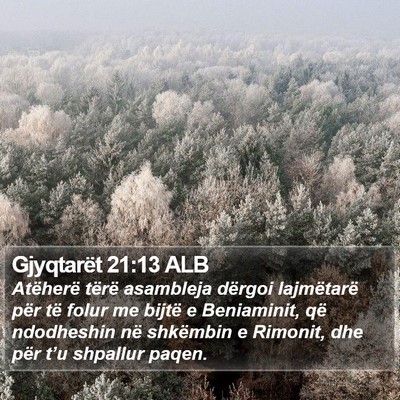 Gjyqtarët 21:13 ALB Bible Verse Image