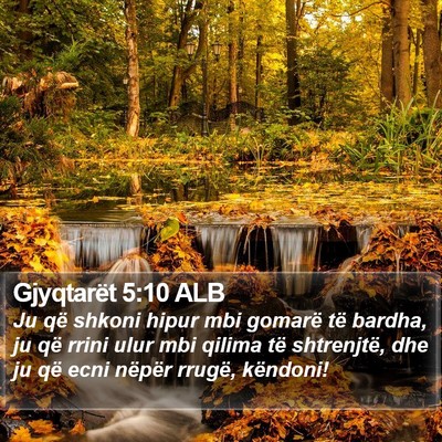 Gjyqtarët 5:10 ALB Bible Verse Image