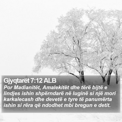 Gjyqtarët 7:12 ALB Bible Verse Image