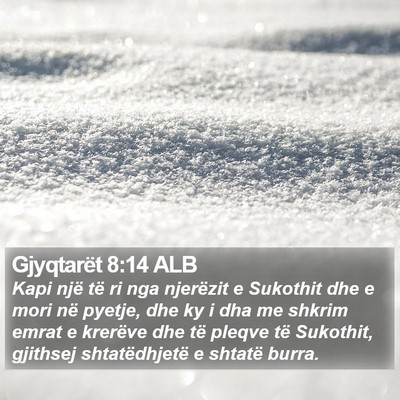 Gjyqtarët 8:14 ALB Bible Verse Image