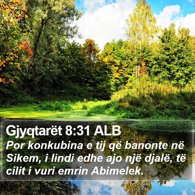 Gjyqtarët 8:31 ALB Bible Verse Image