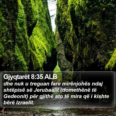 Gjyqtarët 8:35 ALB Bible Verse Image