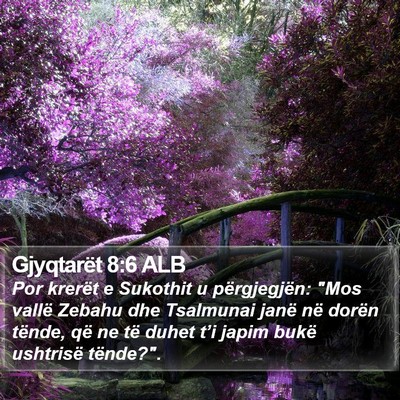 Gjyqtarët 8:6 ALB Bible Verse Image