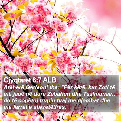 Gjyqtarët 8:7 ALB Bible Verse Image