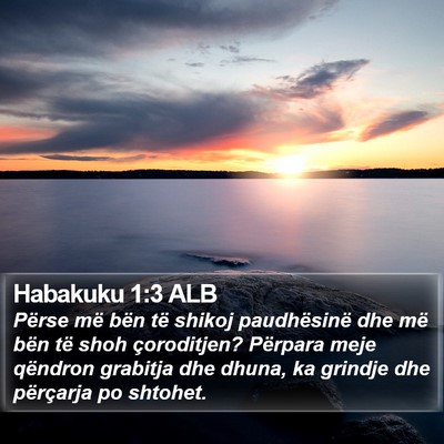 Habakuku 1:3 ALB Bible Verse Image