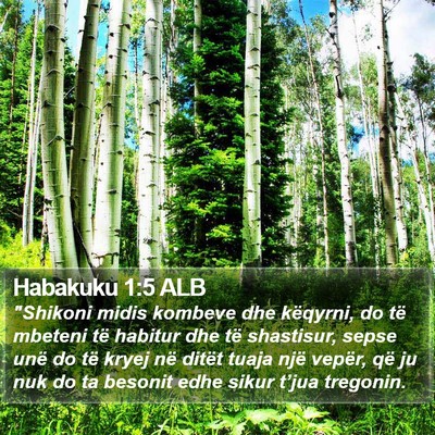Habakuku 1:5 ALB Bible Verse Image