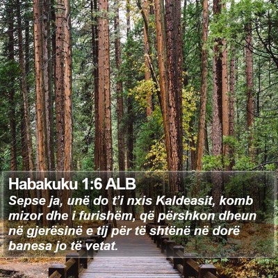 Habakuku 1:6 ALB Bible Verse Image