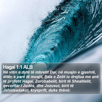 Hagai 1:1 ALB Bible Verse Image