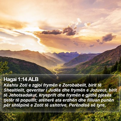 Hagai 1:14 ALB Bible Verse Image