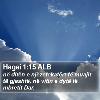 Hagai 1:15 ALB Bible Verse Image