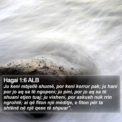 Hagai 1:6 ALB Bible Verse Image