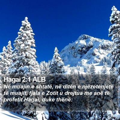 Hagai 2:1 ALB Bible Verse Image