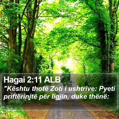 Hagai 2:11 ALB Bible Verse Image