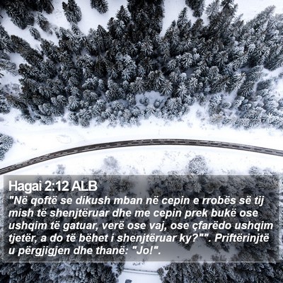 Hagai 2:12 ALB Bible Verse Image