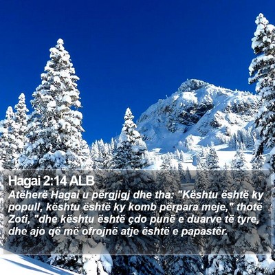 Hagai 2:14 ALB Bible Verse Image