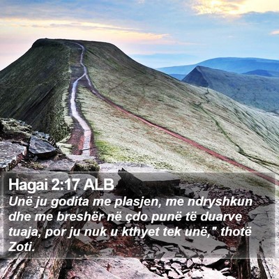 Hagai 2:17 ALB Bible Verse Image