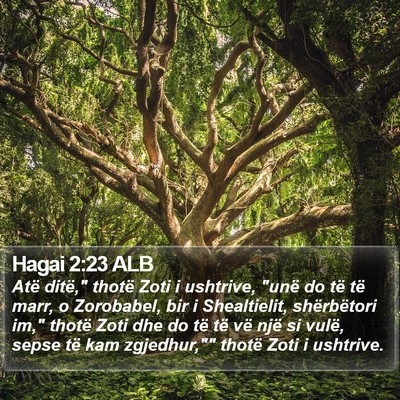 Hagai 2:23 ALB Bible Verse Image