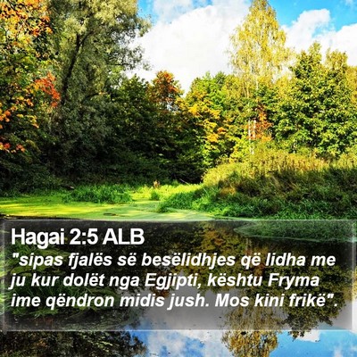 Hagai 2:5 ALB Bible Verse Image