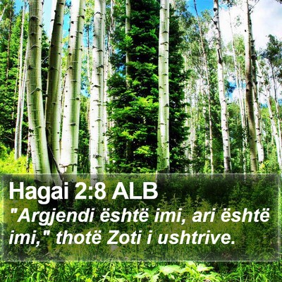 Hagai 2:8 ALB Bible Verse Image