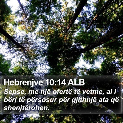 Hebrenjve 10:14 ALB Bible Verse Image