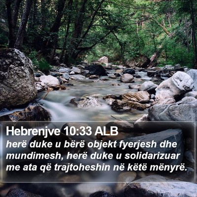Hebrenjve 10:33 ALB Bible Verse Image