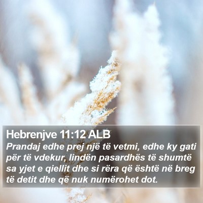 Hebrenjve 11:12 ALB Bible Verse Image