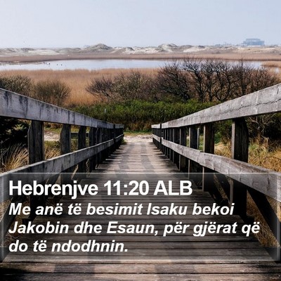 Hebrenjve 11:20 ALB Bible Verse Image