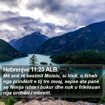 Hebrenjve 11:23 ALB Bible Verse Image