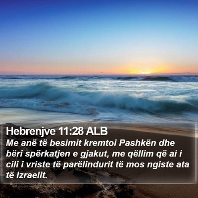 Hebrenjve 11:28 ALB Bible Verse Image