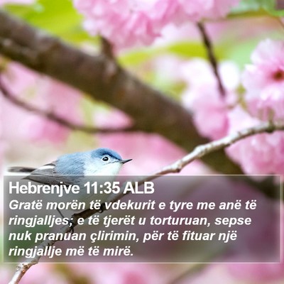 Hebrenjve 11:35 ALB Bible Verse Image
