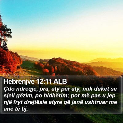 Hebrenjve 12:11 ALB Bible Verse Image