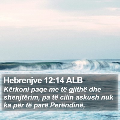 Hebrenjve 12:14 ALB Bible Verse Image